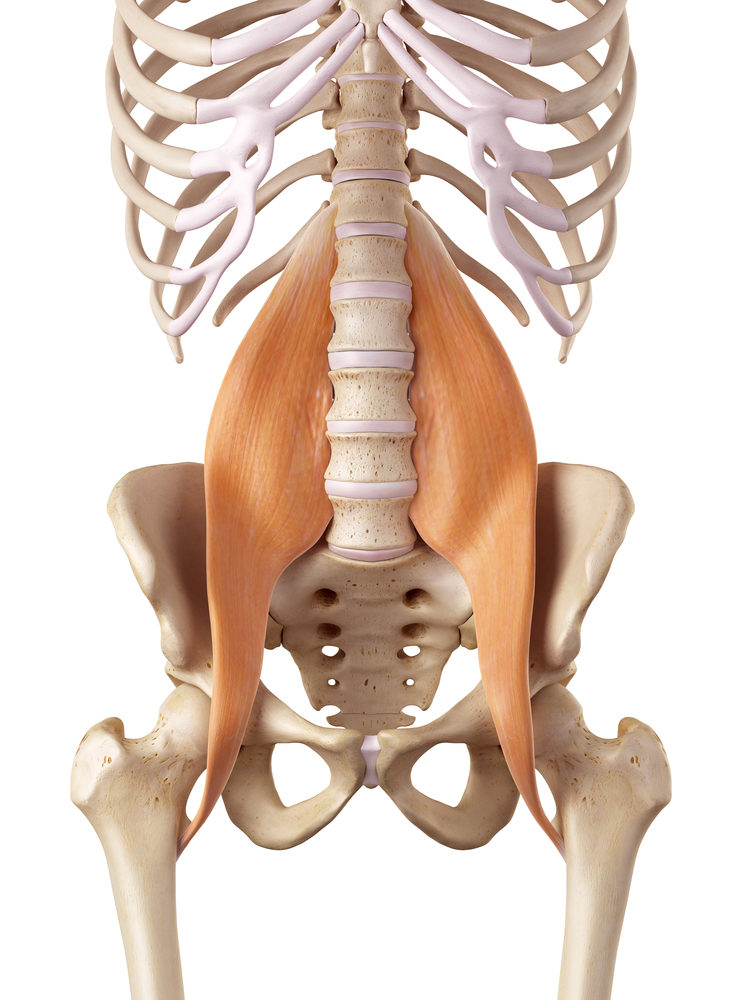 Psoas Constructive Rest - Greenwood Physical Therapy